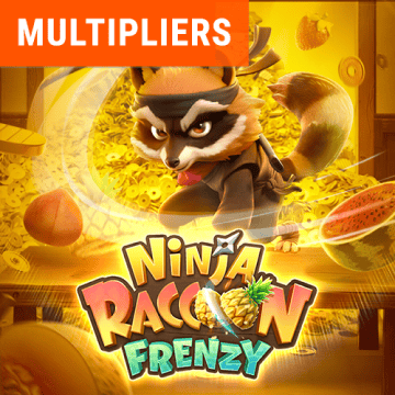 Ninja Racoon Frenzy